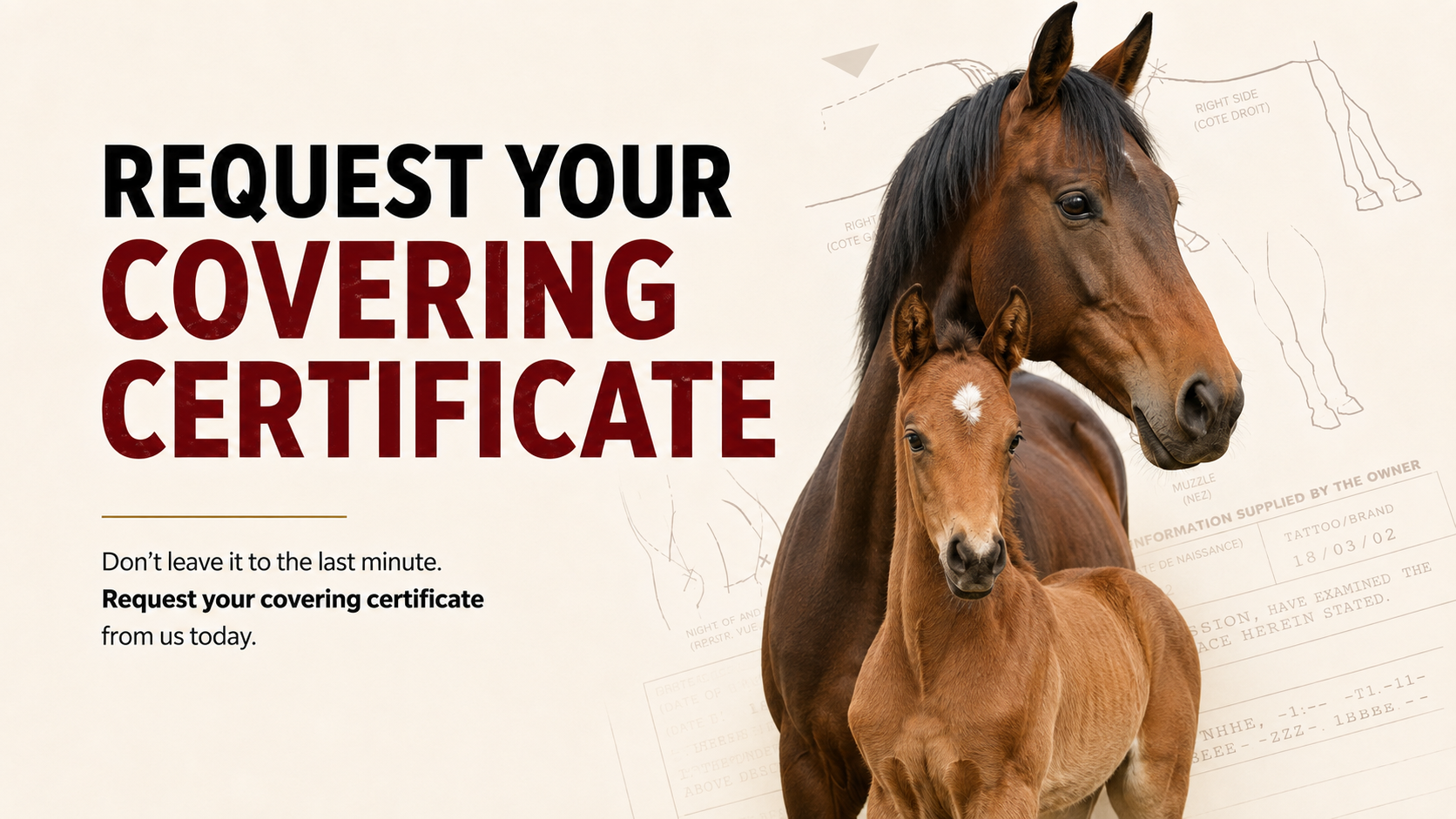 Request A Covering Certificate